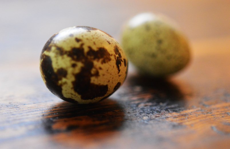 ????????????????????????????????????